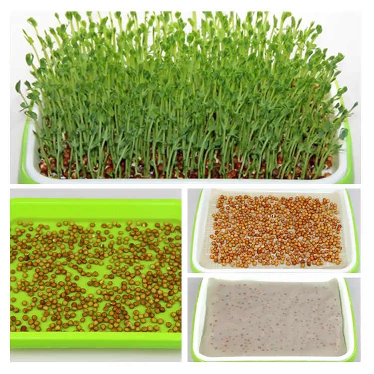 Garden Seed Sprouting Tray with Drain Nursery Microgreens Growing Trays Wheatgrass Container Germination Propagation Tray