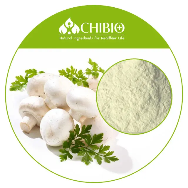 Film Forming Best Choice Factory Supply Hight Quality Fungal Mushroom Chitosan