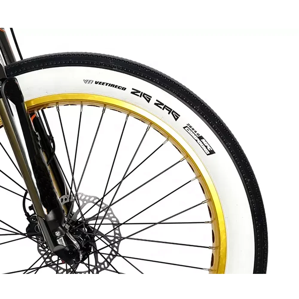 Ebike dual motor NA fashion electric bike 1000w  fat tire ebike OEM services 20ah lithium battery belt drive ebike