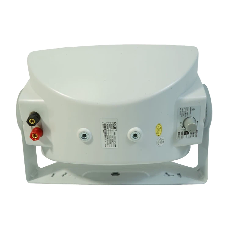 OBT-582 Wholesale 20w Small Speaker Midrange Loud Speaker Coaxial Passive Wall Mounted Speaker