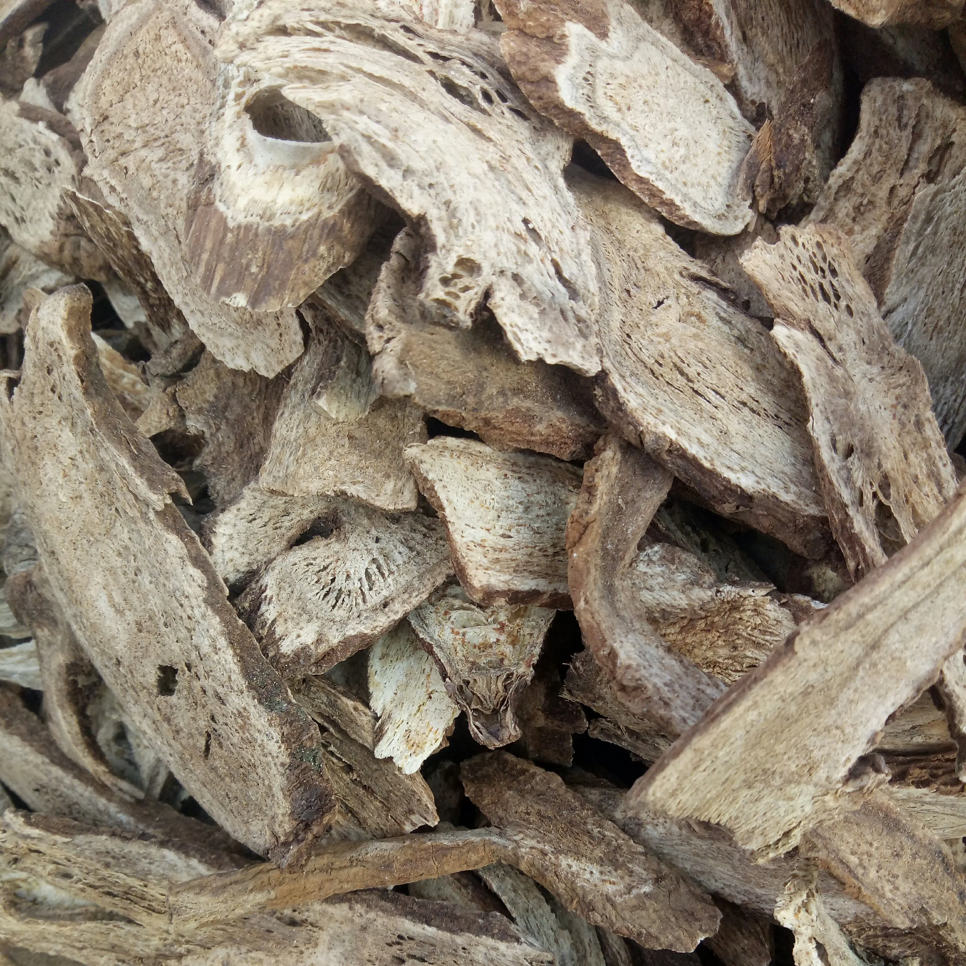 Muxiang Buy natural new crops saussurea costus root