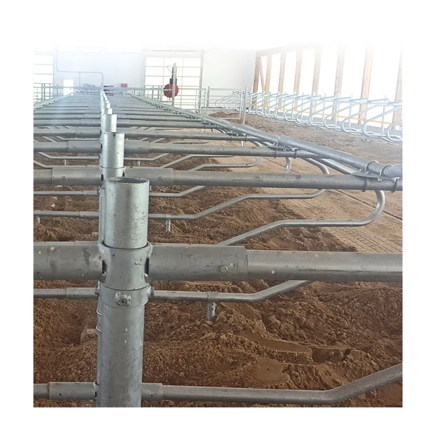 Cow comfort single double row Lock  Cattle Panels Dairy Cow Comfort Loops Stall other animal husbandry equipment