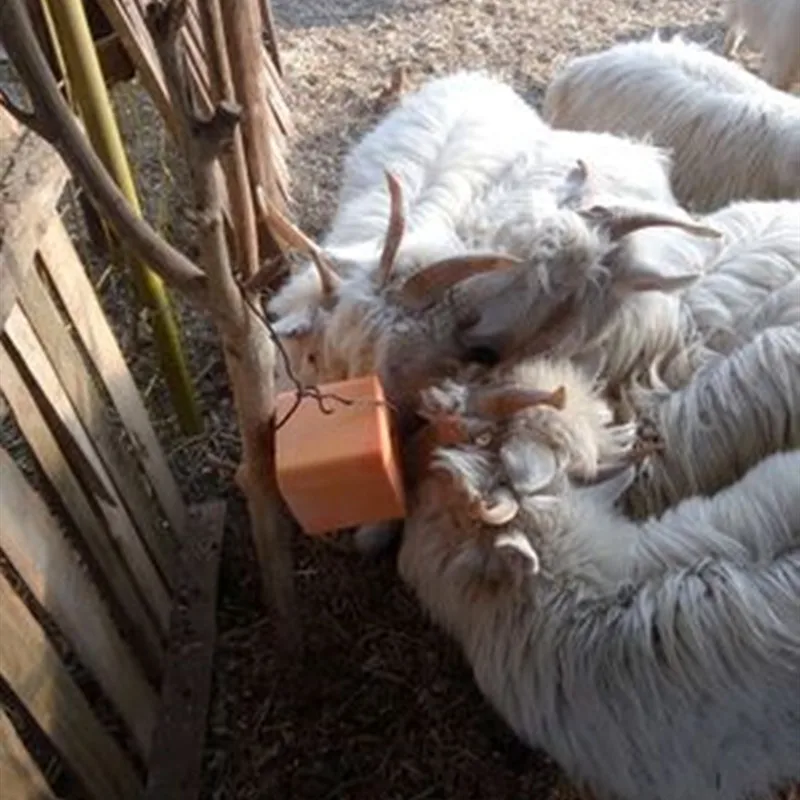 Sheep cow lick salt block press hydraulic press machine