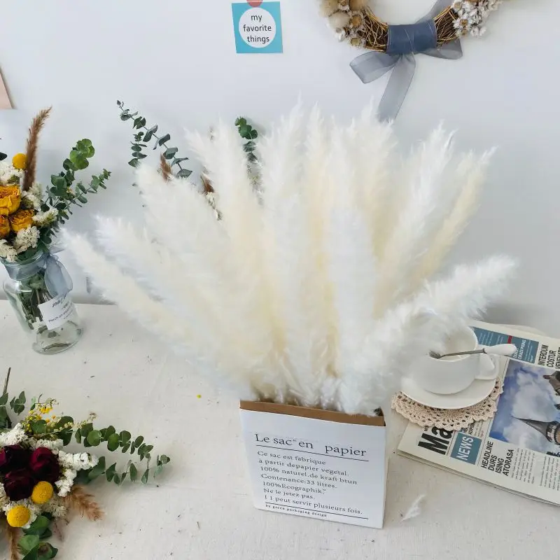 
Plant Decor Small Dried Pampas for Sale Natural Decorative Flowers & Wreaths Christmas 
