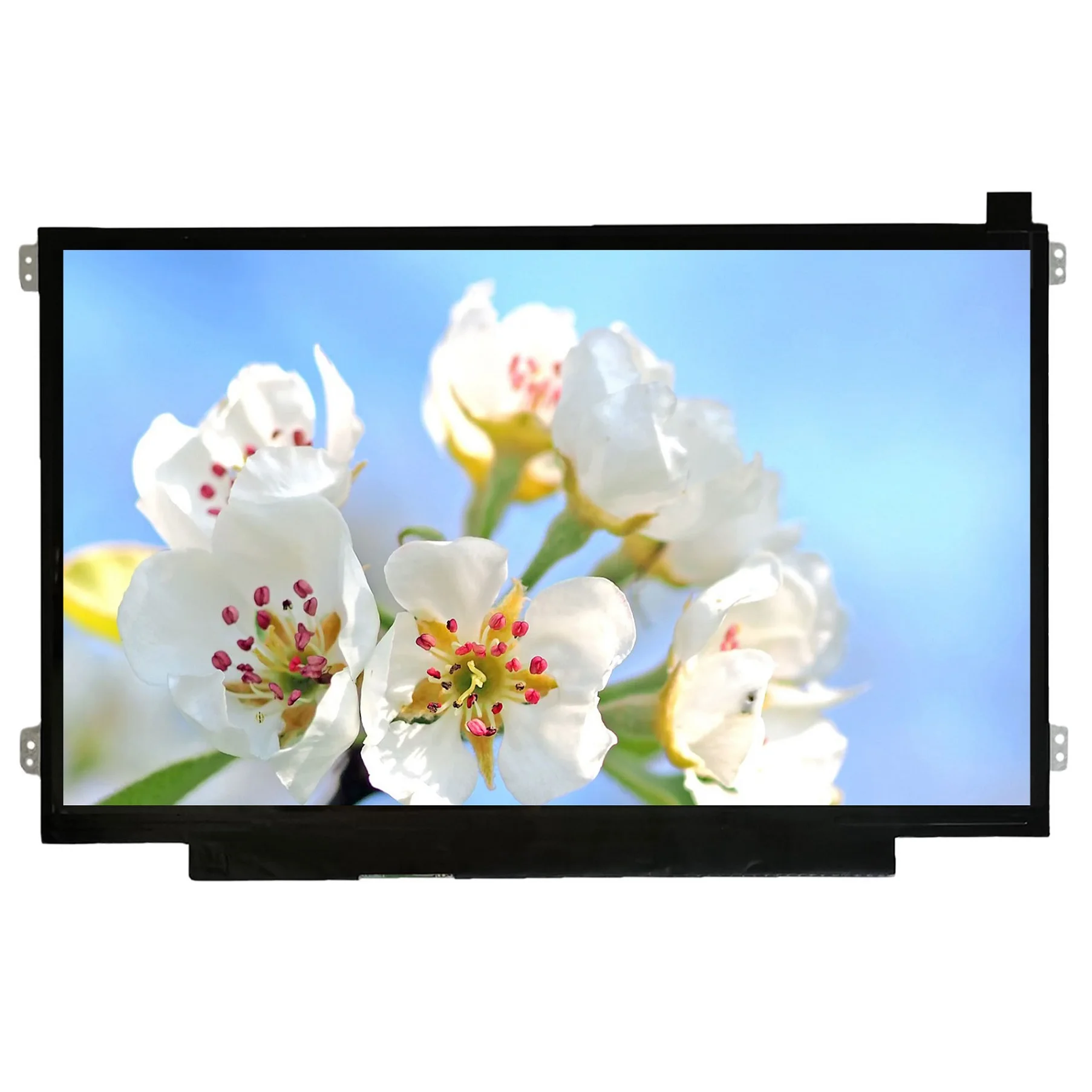 High Quality Wholesale 11.6 Inch Monitor 1366*768 Display Screen NV116WHM-N49