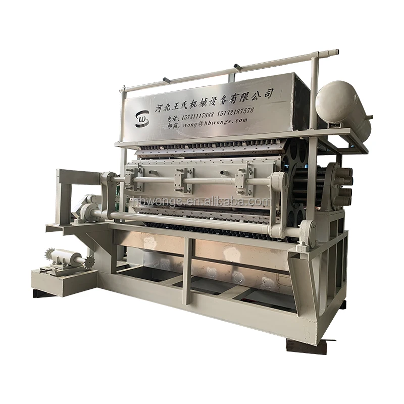 Высокое качество 5000 шт./час Автоматическая производственная линия для формования целлюлозы машина производства Яичных