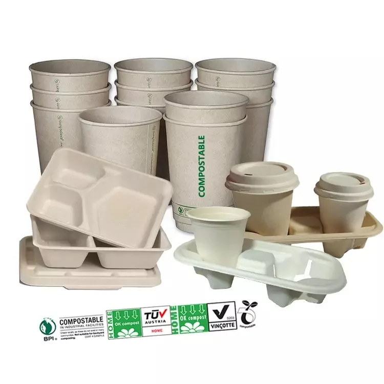 New Bio-degradable Disposable Sugarcane Cup Bagasse Pulp Coffee 6oz 8oz Paper Cup With Lids For Eco Friendly Beverage Packaging