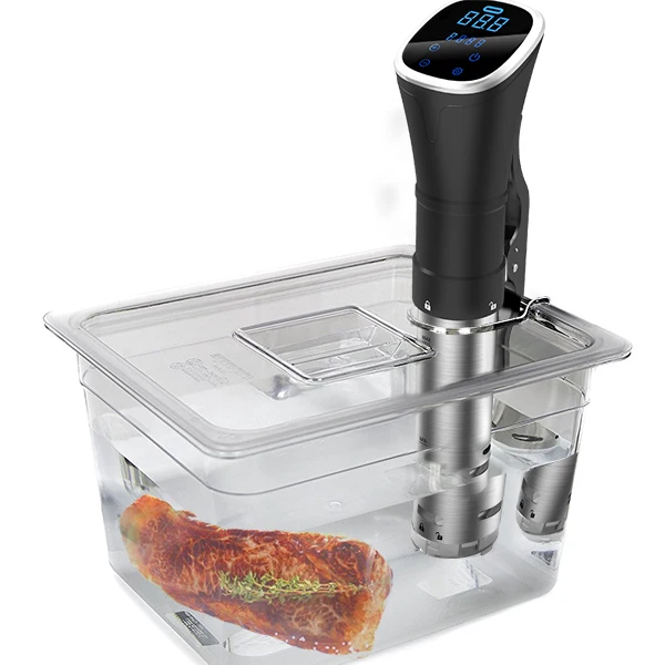 2025 Новый IPX7 водонепроницаемый Электрический цифровой таймер управления Sous Vide погружной циркулятор Медленная Плита wifi Tuya APP
