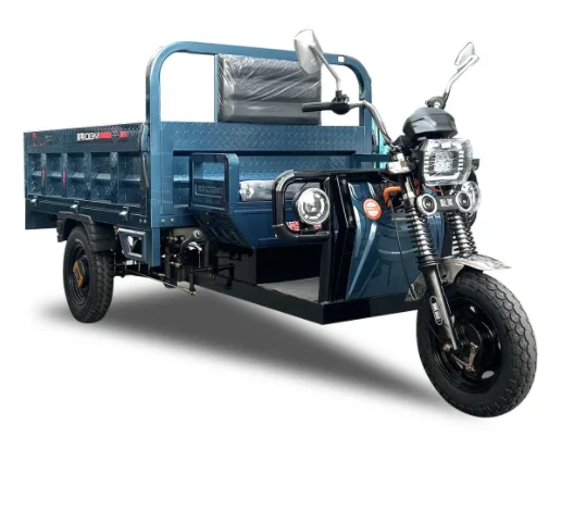 China Maximum Loaded Safely and Popular Electric Tricycle Loading Capacity Electric Tricycle for Cargo