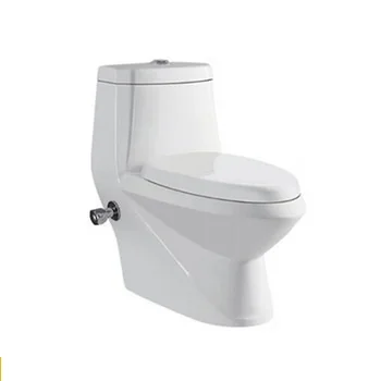 
Washdown One piece bidet toilet for middle market 
