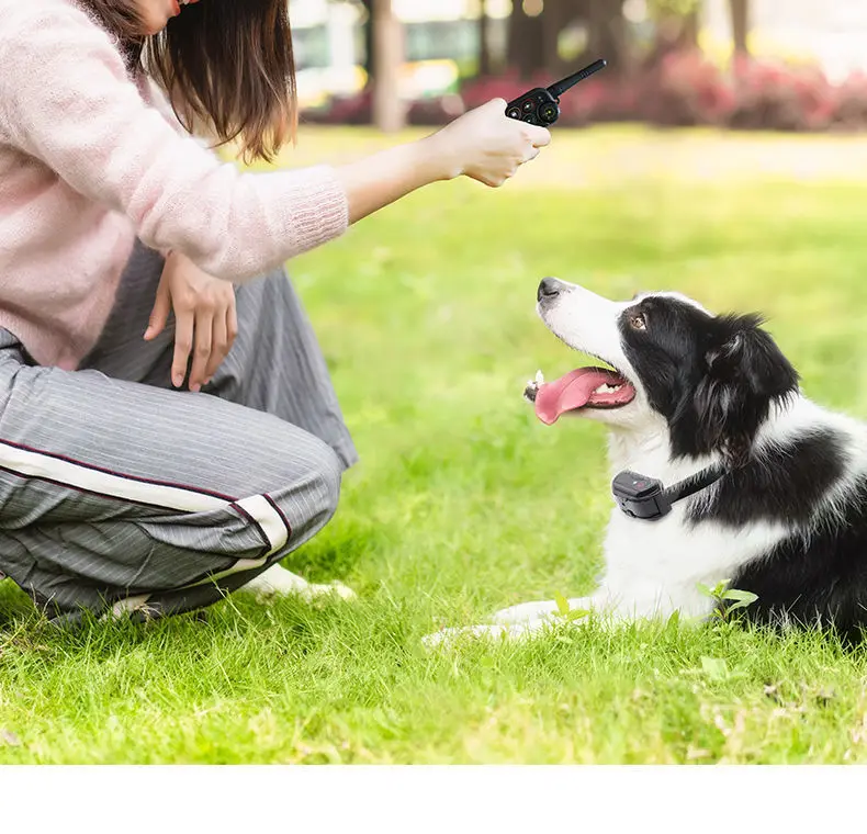 1100 Yards Remote Dog Training Shock Collar for 2 Dogs Suit for Medium to Large Dogs Waterproof Rechargeable