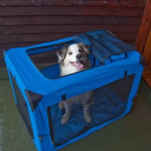 Deluxe Pet Carriers Deluxe Portable Soft Crate for cats and dogs up to 30-pounds