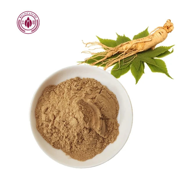 OEM Maximum Strength Organic Korean Ginseng Root 80% Ginsenoside Powder Red Panax Ginseng Powder Natural Supplements