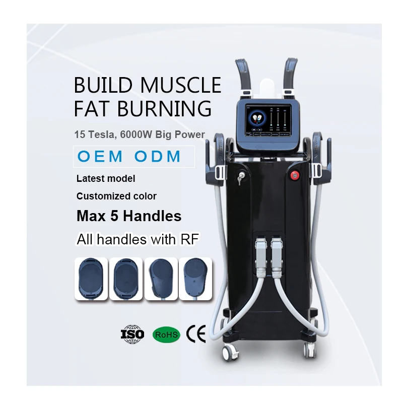Newest Manufacturer Beauty Equipment Fat Reduction 300-6000W 0~12 Tesla Rf Muscle Ems Body Sculpt Machine