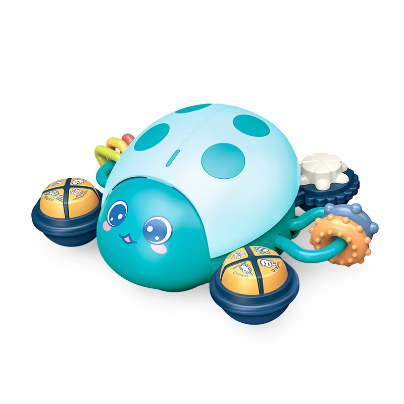 Early Learn Baby Educational Toys  Learning Combination  Educational  Cartoon  Ladybug Toys