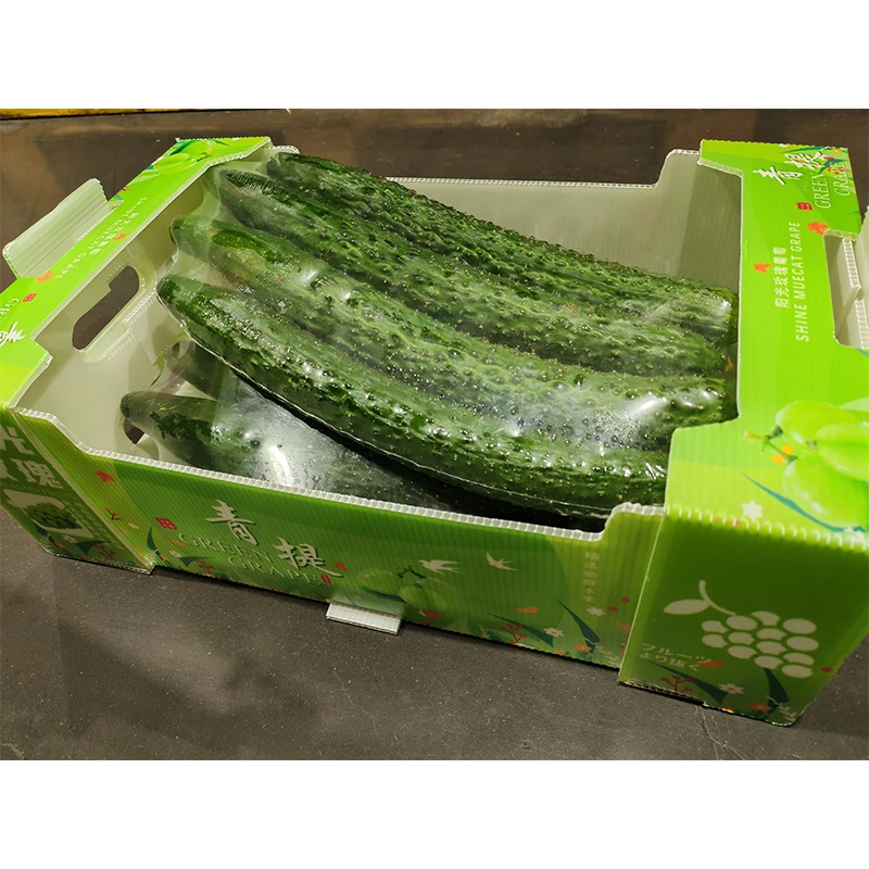Yuexin Custom Size Banana Potato Orange Corrugated Shipping Box Ply3 5 Cardboard Paper Carton Waterproof PP SPC Handle Folder