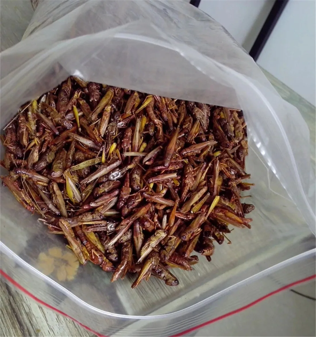 
Chinese Manufacturer Locusts Dried Insect as Bird Fish Food 