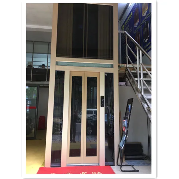 Guangdong JFUJI Elevator Factory Stable Quality Passenger Lift 6-8 person 2 Floor Elevator fuji