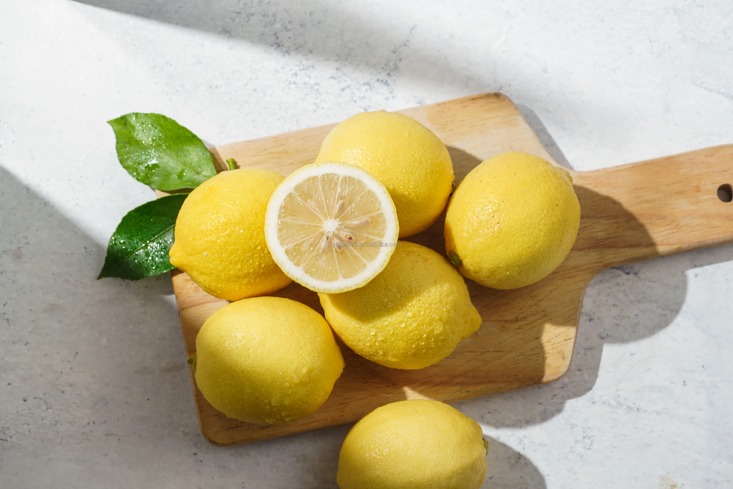 Best Prices For Montale Fresh Lemon Verna Fresh Lime Lemon Turkey Manufacturers
