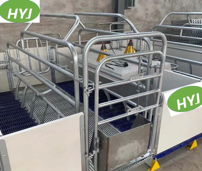 Customized Pig Cubicle Sow Room From China Design