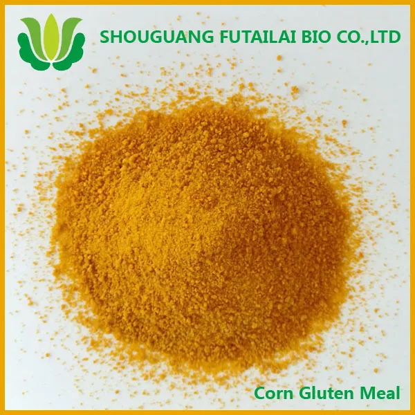 
Corn gluten meal manufacturer fish meal price aquarium fish exporter for animal feed 