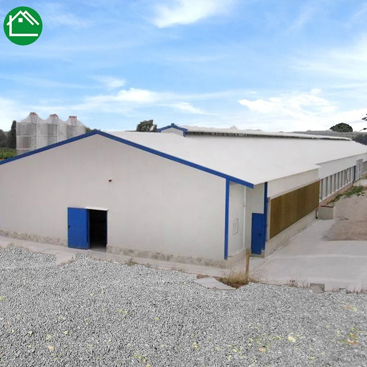 High Quality prefabricated steel chicken house poultry shed poultry farm house export to Pakistan