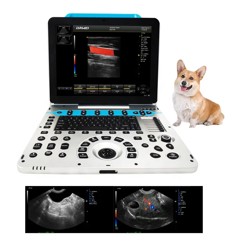 Dawei Veterinary Equipment Vet Full Digital Portable Ultrasound Scanner Machine For Animal