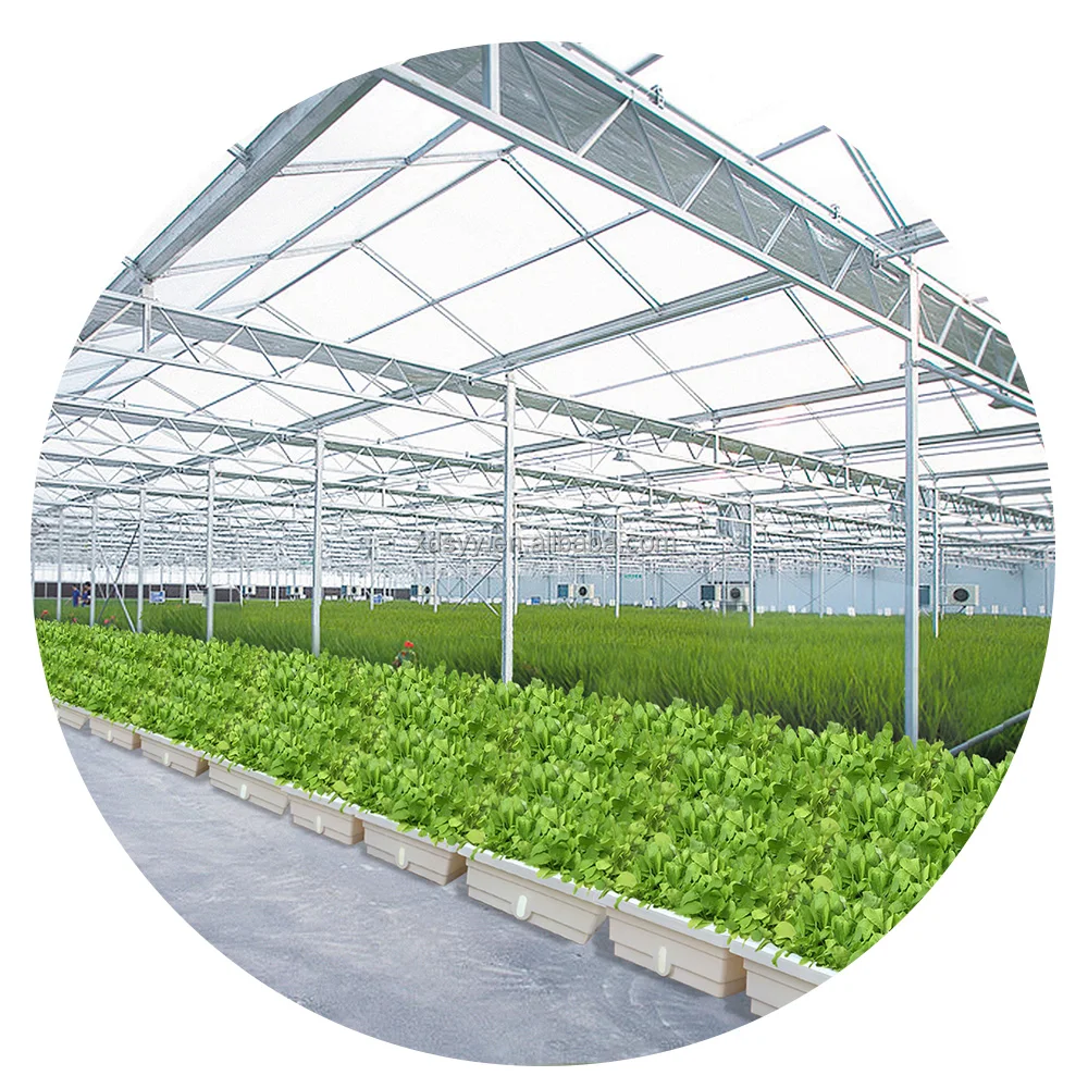 vertical balcony vegetable pot seed starter tray seed starting containers