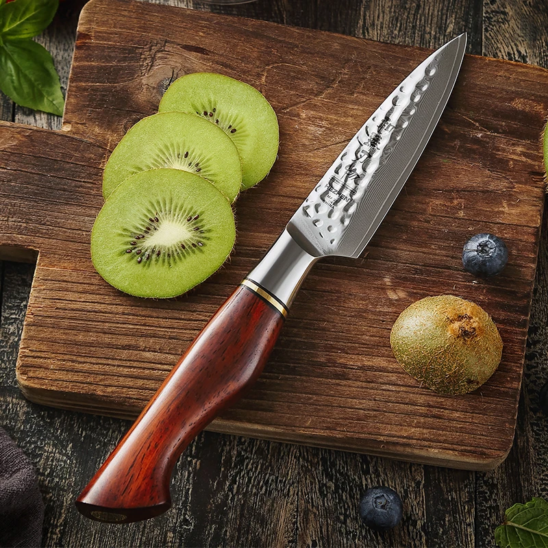 3.5 inch Professional Damascus steel 14Cr core powder Modern kitchen Paring Knife