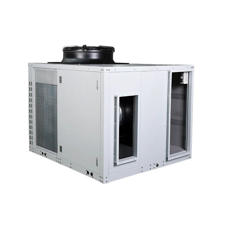 
China Manufacturer Factory Direct Brand Carrier Package Rooftop Unit 
