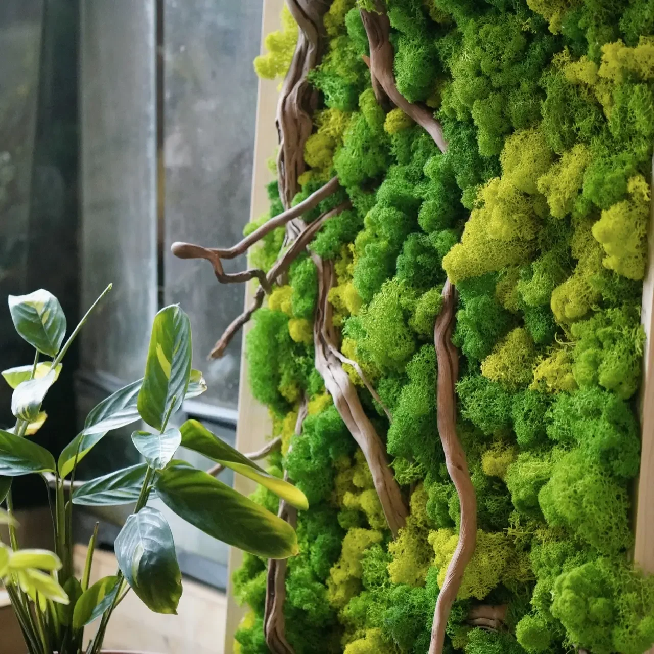 N-191 Wholesale natural preserved green fresh pole sheet moss ball decorative moss bun for Event Display Backdrop