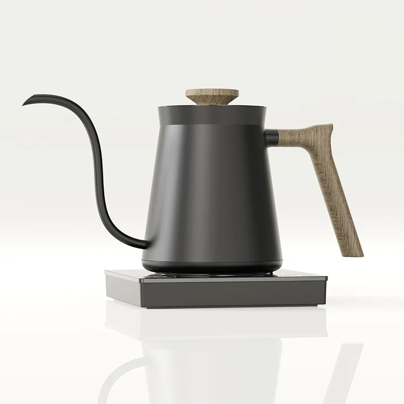 Ranbem Flash Boil and Keep Warm Settings Pour Over Kettle Brewing Tea Electric Coffee Pot with Thermometer