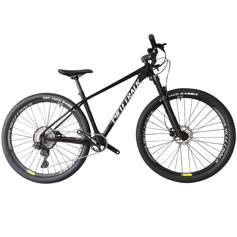 China Factory Wholesale 11.5Kg Mtb Cycletrack Carbon Fiber Mountain Bike 29 Inch Bicycle