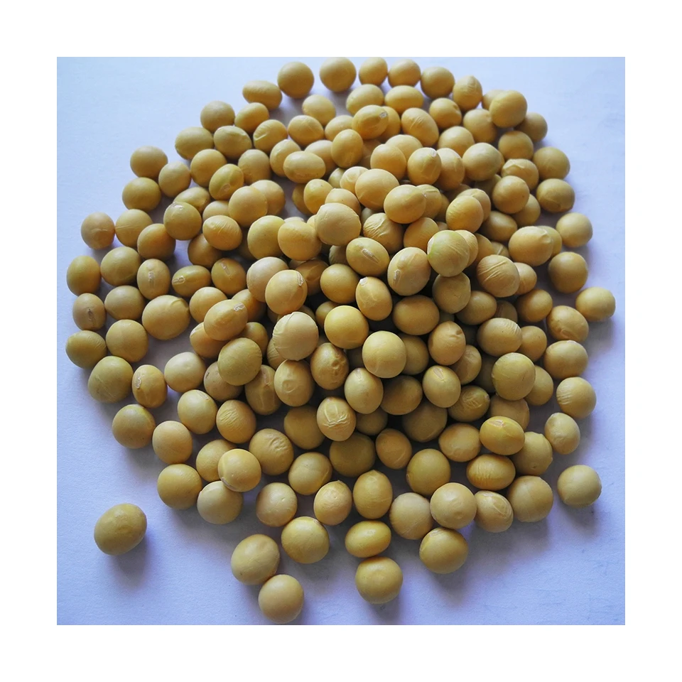 
Best Price Superior Quality Cheap Wholesale Soybeans Organic Yellow Soybeans 