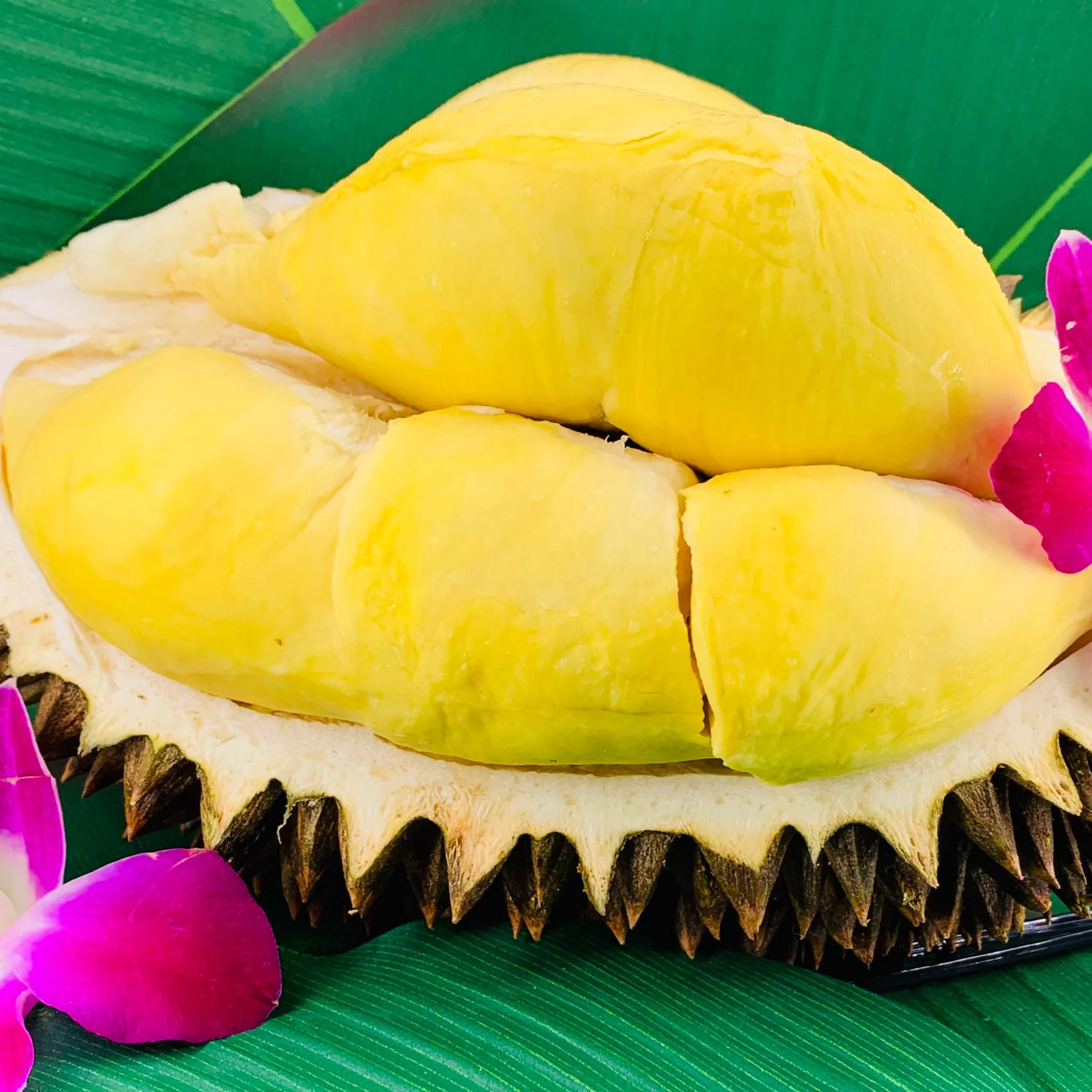 
Premium Quality Monthong from Thailand Fresh Durians 
