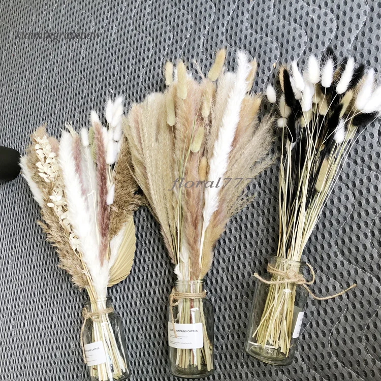 Home Wedding Decorative Bouquet Real Dried Reed Bunny Tail Pampas White Color Dried Natural Small Big Large Pampas Grass