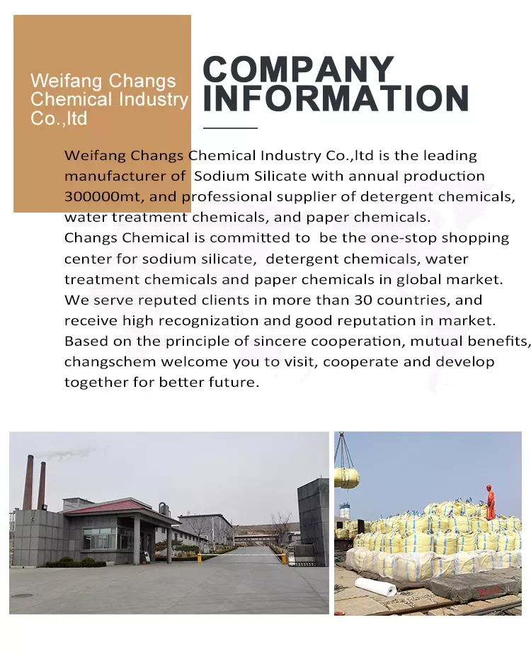 paste-pic-dp_uuid_9a986