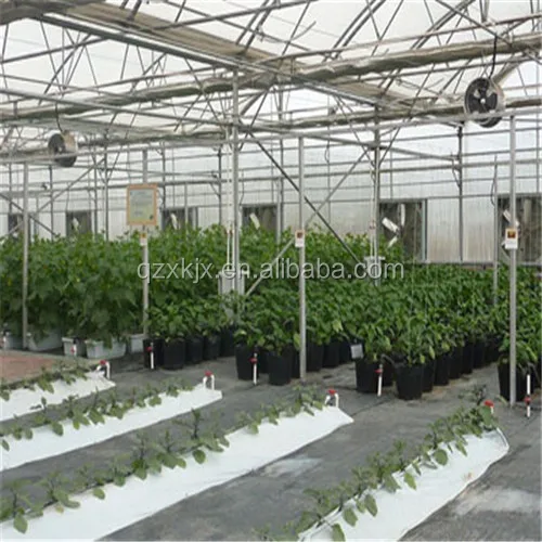 Large Agricultural Polycarbonate Greenhouse Frame Steel Galvanized Steel Stable Stable Greenhouse