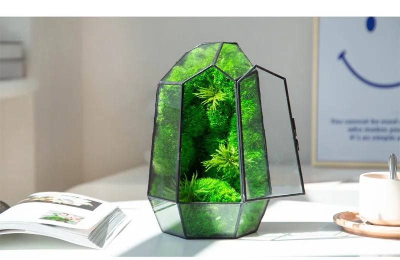 wholesale moss art moss plant real natural living green long lasting stabilized preserved moss terrarium for decoration