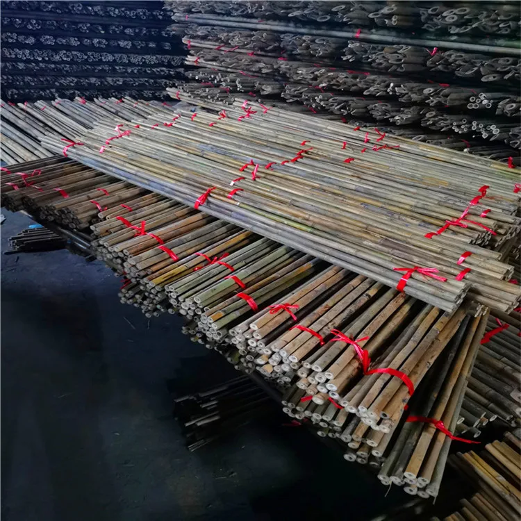 plastic coated bamboo pole for support or you want