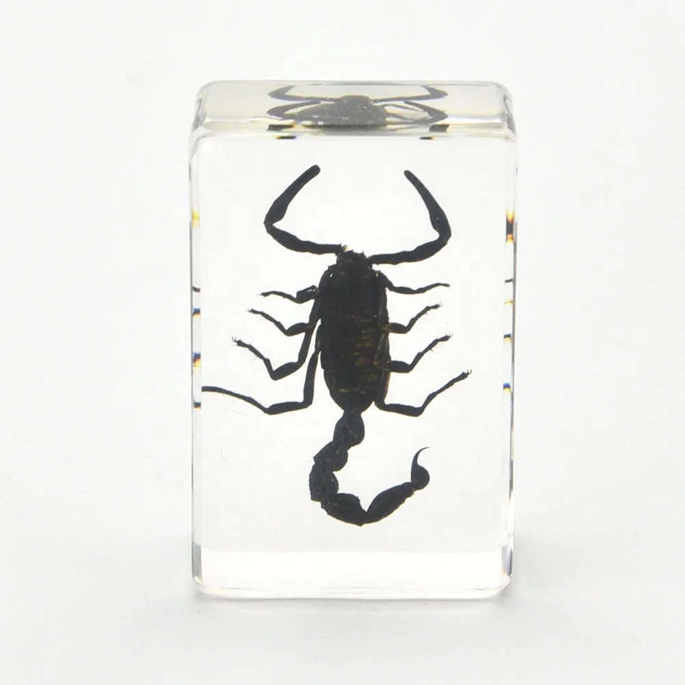 real scorpion resin paperweight 44*29*16 mm custom logo clear resin paper weights