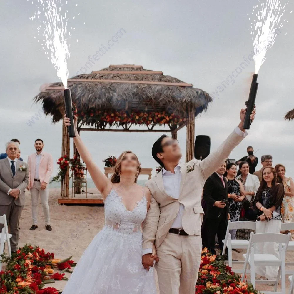 Factory Customized Handheld Fireworks Igniter For Stage Wedding Party Fireworks Handheld Controller