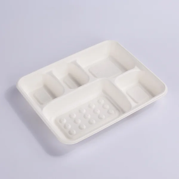 OEM Logo Bagasse Fiber 6 Compartment Hospital Lunch Plate Food Tray Disposable Fast Food Serving School Tray