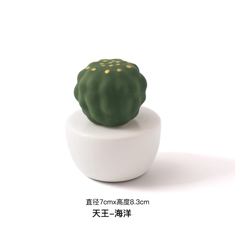 Cactus Ceramics Aroma  Aromatherapy Diffuser Decorative Commercial Air Freshener
