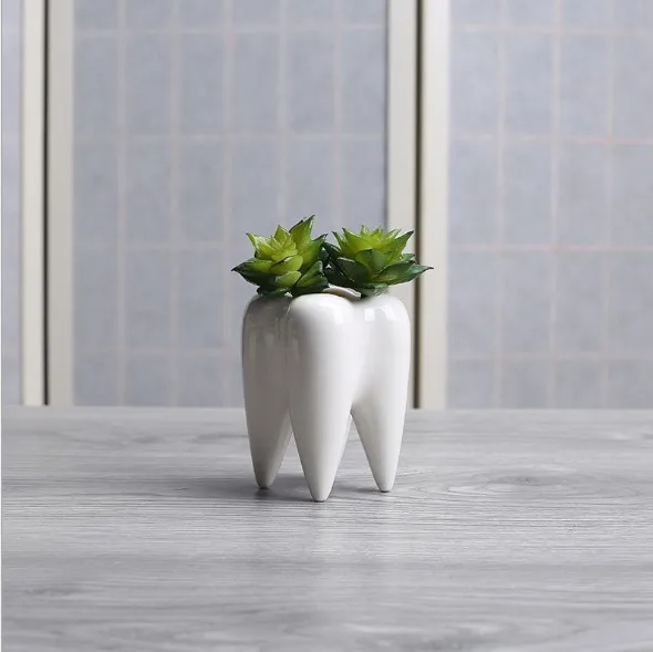 ceramic teeth shape flower pot for dentistry bonsai pot tooth planter white ceramic succulent planter pots modern home decor