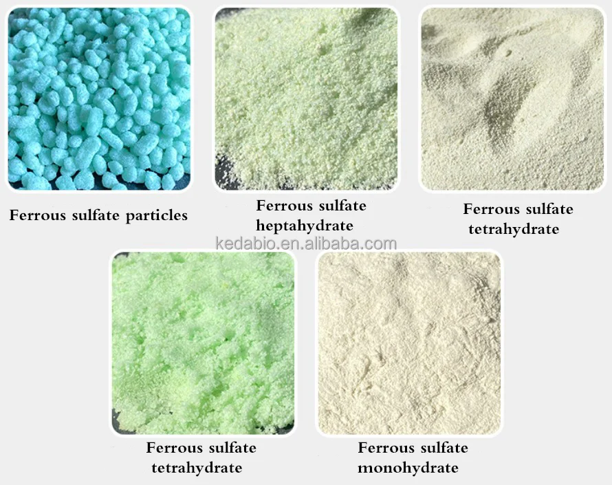 Active Calcium Magnesium Granular/Calcium And Magnesium In Feed