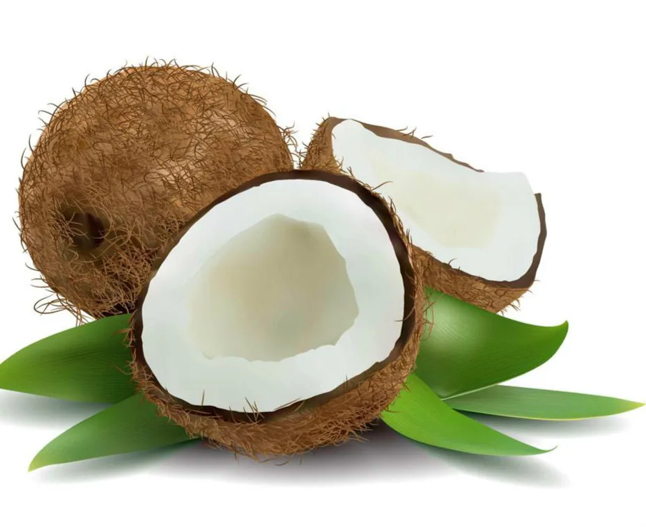 Instant coconut cream powder/coconut milk powder/beverage type coconut powder