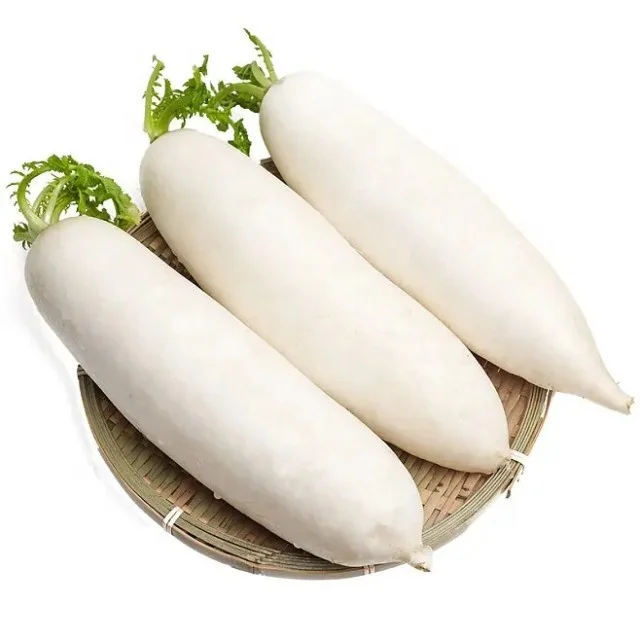 white radish white turnip