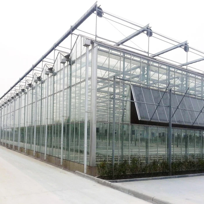 Intelligent Multi-Span Agricultural/Commercial Greenhouse with hydroponics system