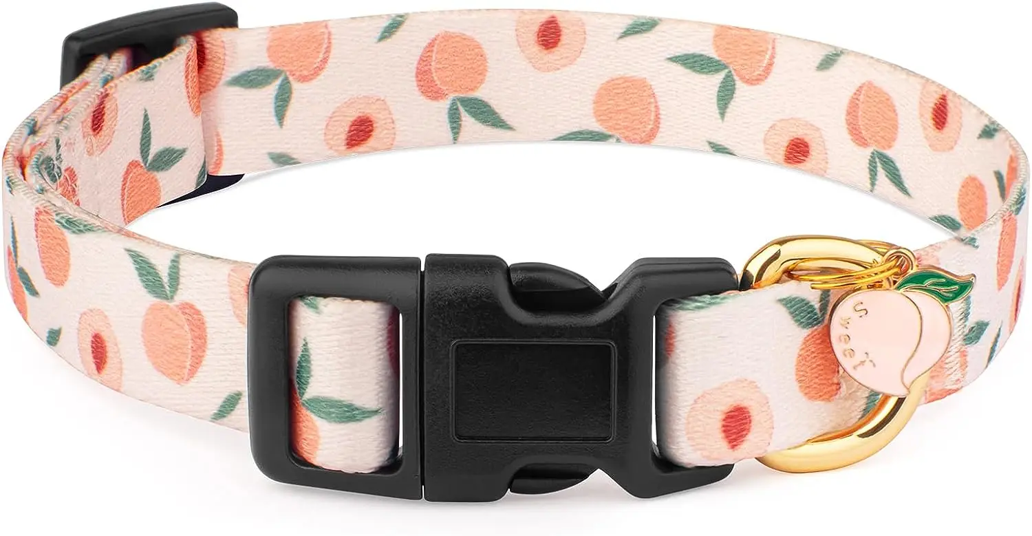 HT Customized Durable and Adjustable Fashionable Pet Dog and Cat Collar Polyester Print Sublimated Non Fading Dog Collar
